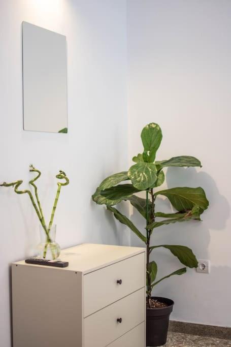 雅典Botanical公寓 外观 照片