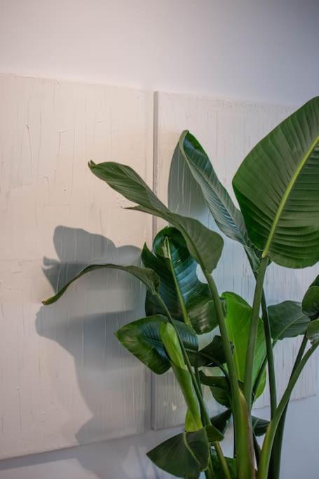 雅典Botanical公寓 外观 照片